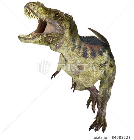 T-REX☆ティラノサウルス☆Tyrannosaur 84685223