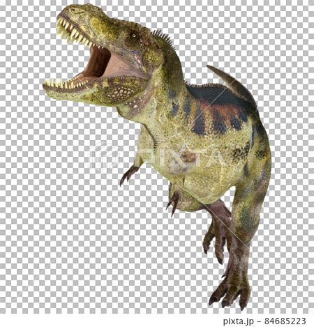 T-REX☆ティラノサウルス☆Tyrannosaur 84685223
