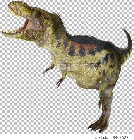 T-REX ☆ 霸王龍 ☆ 霸王龍 84685224