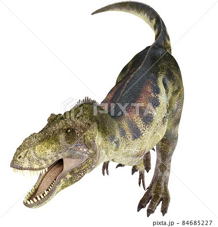 T-REX☆ティラノサウルス☆Tyrannosaur 84685227