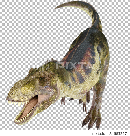 T-REX☆ティラノサウルス☆Tyrannosaur 84685227