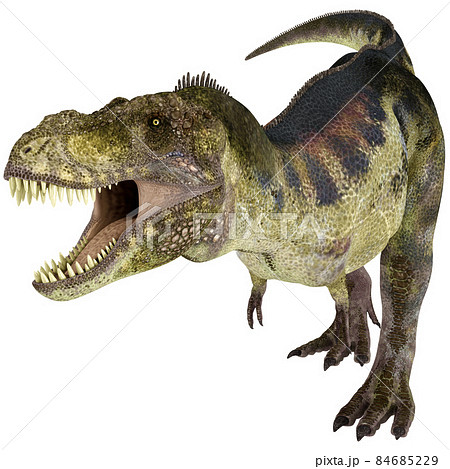 T-REX☆ティラノサウルス☆Tyrannosaur 84685229