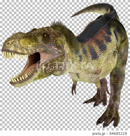 T-REX☆ティラノサウルス☆Tyrannosaur 84685229