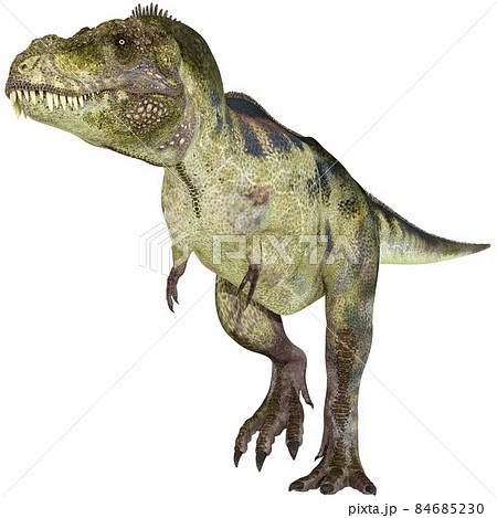 T-REX☆ティラノサウルス☆Tyrannosaur 84685230