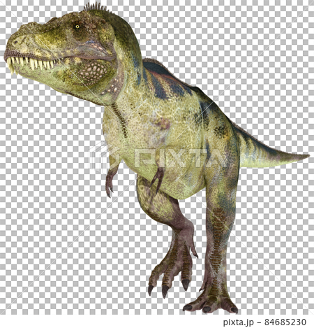 T-REX☆ティラノサウルス☆Tyrannosaur 84685230