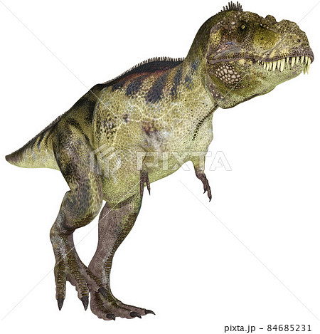 T-REX☆ティラノサウルス☆Tyrannosaur 84685231