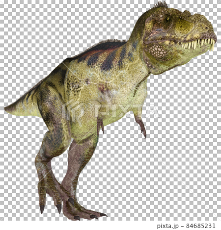 T-REX☆ティラノサウルス☆Tyrannosaur 84685231