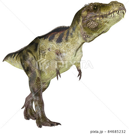 T-REX☆ティラノサウルス☆Tyrannosaur 84685232