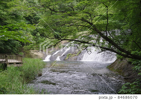 木々の向こうに見える滝 木々の向こうに見える滝 84686070