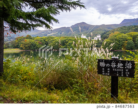 初秋の鴫の谷地沼 (山形県、蔵王温泉) 初秋の鴫の谷地沼 (山形県、蔵王温泉) 84687563
