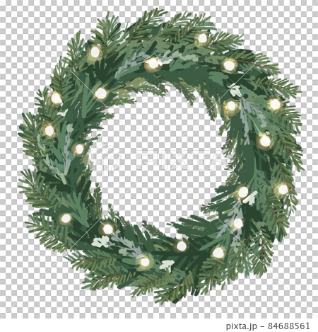 聖誕花環 植物花環與光 84688561