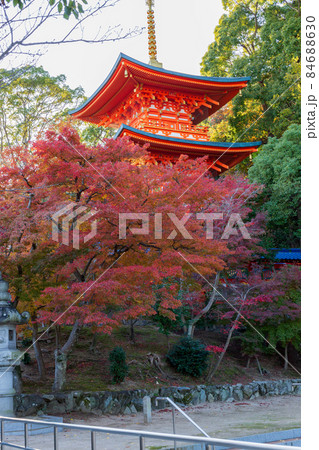 神戸・紅葉の須磨寺・三重塔 84688630