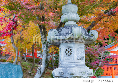 神戸・紅葉の須磨寺 84688631