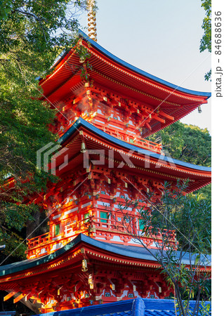 神戸・紅葉の須磨寺・三重塔 84688636