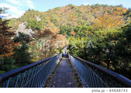梅の木轟公園吊り橋 梅の木轟公園吊り橋 84688743