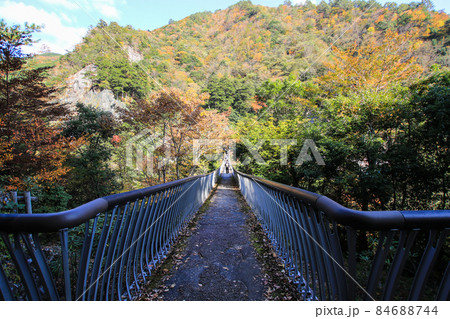 梅の木轟公園吊り橋 梅の木轟公園吊り橋 84688744