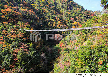 梅の木轟公園吊り橋 84688795