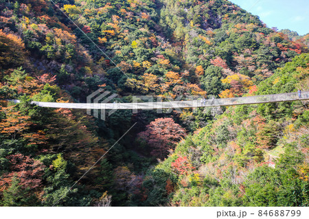 梅の木轟公園吊り橋 梅の木轟公園吊り橋 84688799