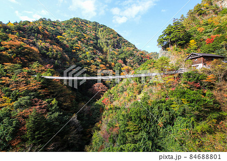 梅の木轟公園吊り橋 84688801