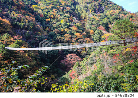 梅の木轟公園吊り橋 84688804
