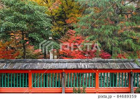 秋の京都山科　毘沙門堂 84689359