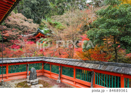 秋の京都山科　毘沙門堂 84689361