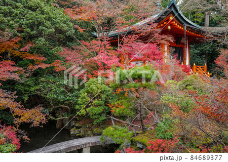 秋の京都山科　毘沙門堂 84689377