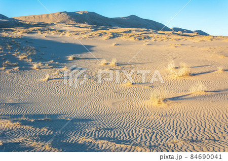 Mojave Desert in California. Mojave Desert in California. 84690041