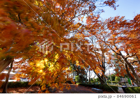 紅葉　大山参道 84690061