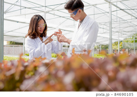 Hydroponics, two Asian scientists, tested the standards and collected chemical data of the organic vegetables grown using hydroponics in the nursery 84690105