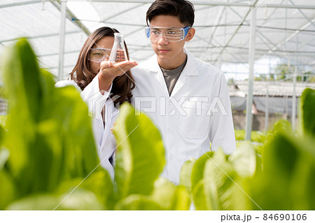 Hydroponics, two Asian scientists, tested the standards and collected chemical data of the organic vegetables grown using hydroponics in the nursery 84690106