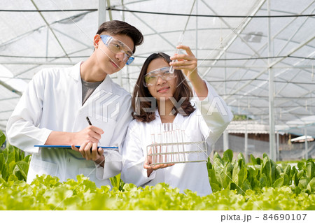 Hydroponics, two Asian scientists, tested the standards and collected chemical data of the organic vegetables grown using hydroponics in the nursery 84690107