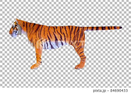 虎☆TIGER 84690433