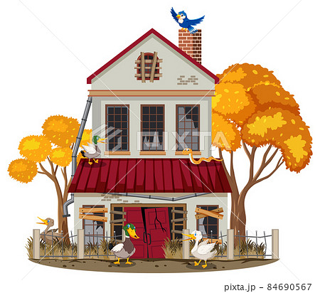 Animals at the abandon house Animals at the abandon house 84690567