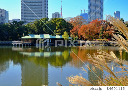 秋の浜離宮恩賜庭園 秋の浜離宮恩賜庭園 84691116