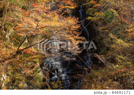山梨県山梨市三富上釜口　笛吹川に架かる滝　名瀑一之釜の隣に流れる釜沢の滝の紅葉 84691171