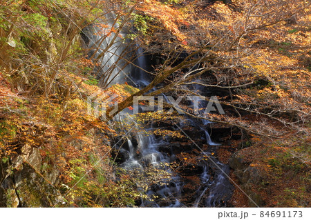 山梨県山梨市三富上釜口　笛吹川に架かる滝　名瀑一之釜の隣に流れる釜沢の滝の紅葉 84691173