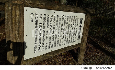 秋の旧福本藩陣屋跡_銀杏 秋の旧福本藩陣屋跡_銀杏 84692202