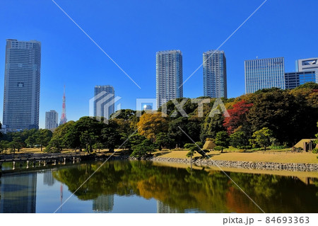 秋の浜離宮恩賜庭園 84693363