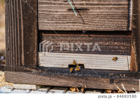 養蜂 蜜蜂の巣箱のアップ 養蜂 蜜蜂の巣箱のアップ 84693590
