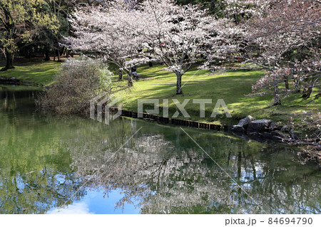 内宮近く　五十鈴公園　伊勢市 84694790