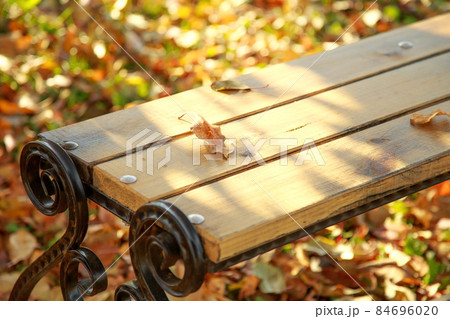 Industry making a forging bench in the fall in the garden in the foliage under the tree. Autumn garden background Industry making a forging bench in the fall in the garden in the foliage under the tree. Autumn garden background 84696020
