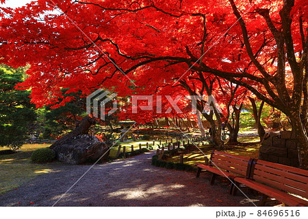 岩手県盛岡市　青空と紅葉 84696516
