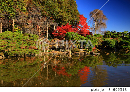 岩手県盛岡市 青空と紅葉 岩手県盛岡市 青空と紅葉 84696518