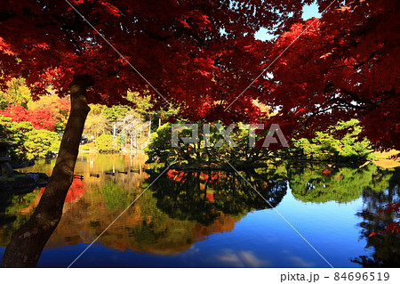 岩手県盛岡市 青空と紅葉 岩手県盛岡市 青空と紅葉 84696519
