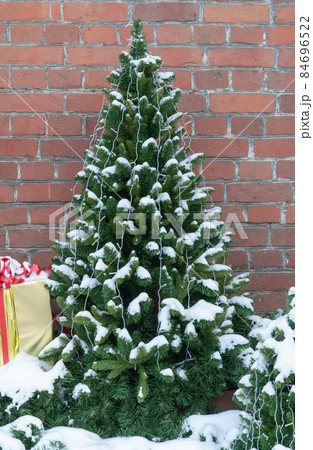 beautiful fir tree on the background of a brick wall. Christmas tree covered with fluffy snow.  84696522