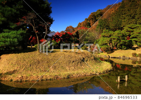 岩手県盛岡市　青空と紅葉 84696533