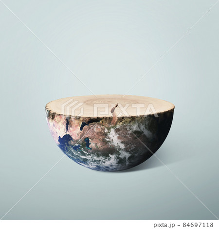 Tree and planet earth, concept. Cut tree with rings and half of the planet on a gray background, creative idea. Ecology and environment protection. Deforestation and Wood industry 84697118