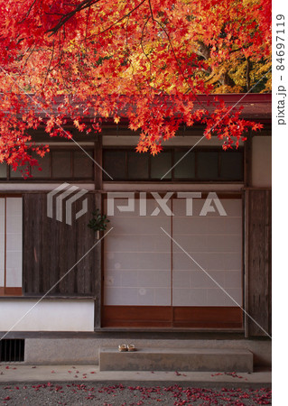 神社境内の紅葉風景-11 神社境内の紅葉風景-11 84697119