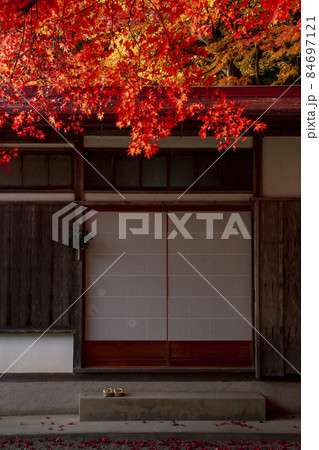 神社境内の紅葉風景-12 84697121